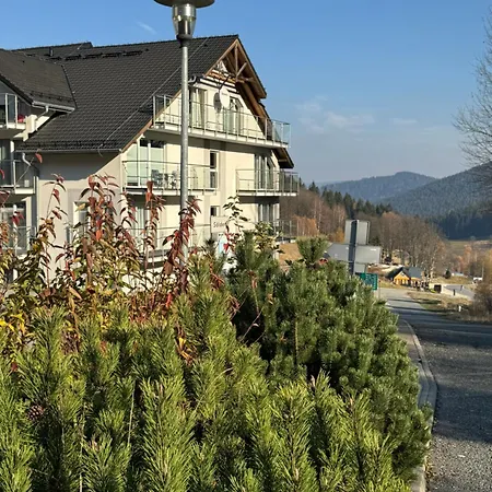 Buena Vista Czarna Góra *