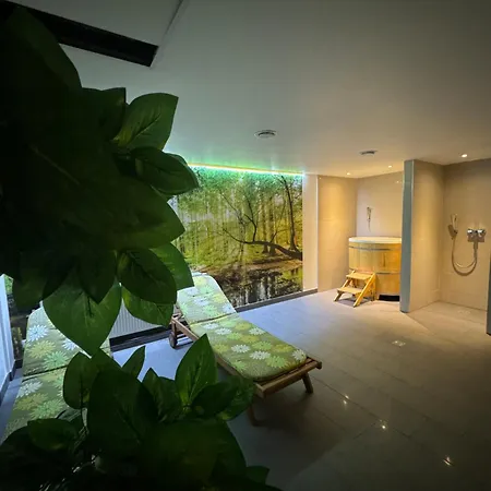 Buena Vista Czarna Góra Apartament Sienna (Klodzko)