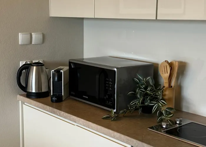 Buena Vista Czarna Gora Apartment *