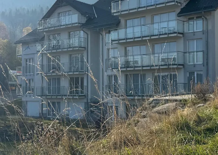 Buena Vista Czarna Gora *