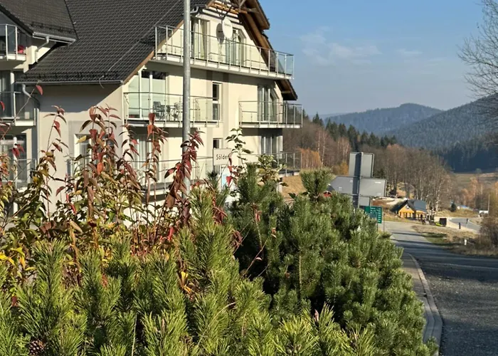 Buena Vista Czarna Gora *